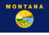 Montana State Flag